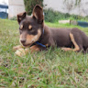 Meet your Posher, Jack